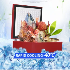 BD(C)-100 Commercial Large Capacity Ultra-low Temperature Freezer 100L Quick Freezer 200W Direct Cooling Freezer Household Freez