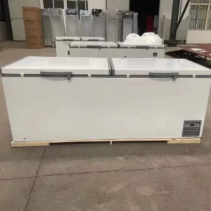 518 Litre Double Door Commercial Horizontal Freezer Deep Freezer 220V Single-Temperature Refrigerator Supermarket Use