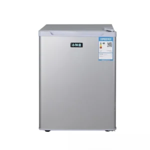 Mini Fridge Energy Saving Quiet 29L Cooling for Home Dorm Apartment Portable Compact Design 220V Universal Voltage